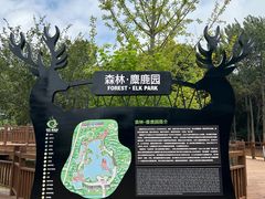 -日照海滨国家森林公园