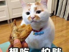 -老马家马蓉蛋菜夹馍·腊牛肉夹馍(回民街店)