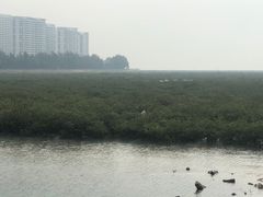 -北海金海湾红树林生态旅游区