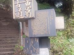 -南山植物园