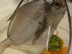 铁板烧-永泰福朋喜来登酒店-宜客乐自助餐厅(远大路店)