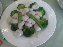 -黄埔华苑酒家(黄埔店)