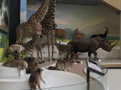 -陕西自然博物馆