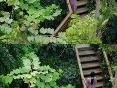 -郑州植物园