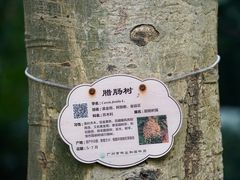 -广州雕塑公园