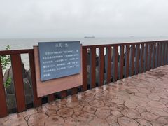 -上海滨江森林公园