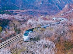 -居庸关长城