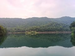 -桃花岭景区