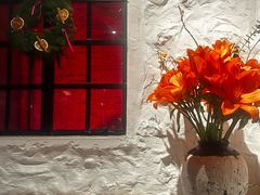 -Apollo·西班牙小酒馆(安福路店)