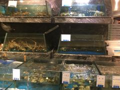水产区-得尔乐大酒店(南塘店)