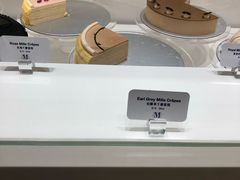-Lady M(沙田新城市广场店)