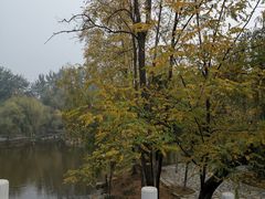 -燕风楼烤鸭店(建设总店)