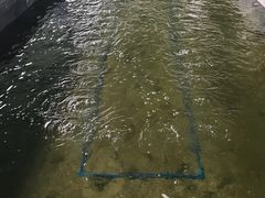 -会江钓鱼钓虾烧烤场