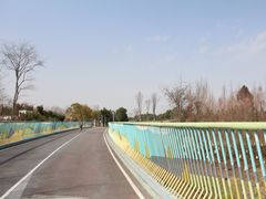 -白鹭湾湿地公园