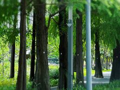 -四海公园(南山区)