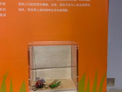 -陕西自然博物馆