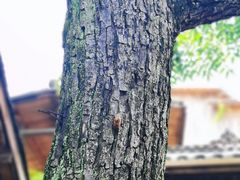 -驿舍·民國老营房院子私房菜(科学会堂店)