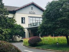 景观位-浙江宾馆·花园餐厅·自助餐厅·茶吧