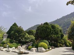 -华清宫景区