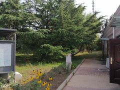 -太阳宫公园