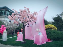 -花轿喜屋婚礼策划