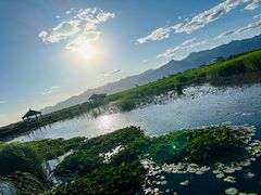 -哈素海