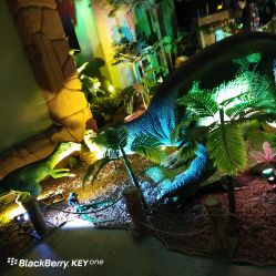 -恐龙探索乐园(磁器口店)