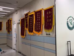 -中农国际动物医院24小时·猫科·骨科·急重症中心