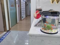 -启辰口腔(南坪店)