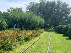 -永定河休闲森林公园