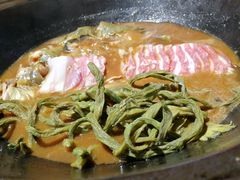 鲶鱼-肥鱼屯活鱼锅(惠工街店)