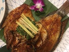 -紫滇源云南生态菜(丹凤街店)