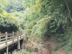 -凤栖山