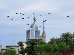 -莲花池公园