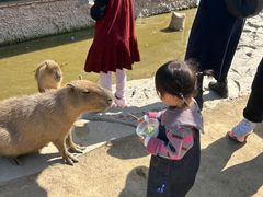 -杭州野生动物世界