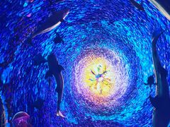 -海合安青岛极地海洋公园