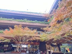 -瑞虹新天地月亮湾