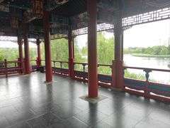 -武汉园博园(武汉自然博物馆)