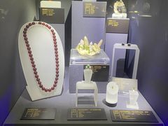 -湖南省地质博物馆