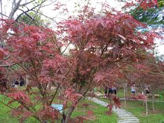 -广州市帽峰山景区