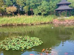 -天目湖山水园