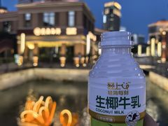 -金鸡湖景区