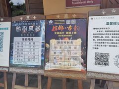 -海南槟榔谷黎苗文化旅游区