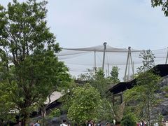 -新加坡飞禽公园