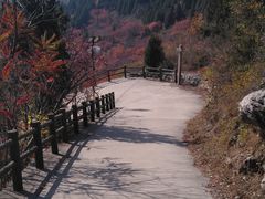 -府君山公园