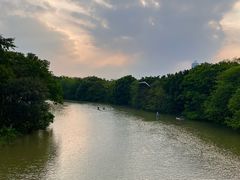 -海珠湖公园