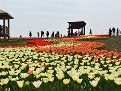-三圣花乡旅游区