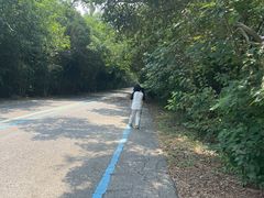 -盐城丹顶鹤湿地生态旅游区