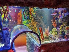 -沈阳海洋探索中心