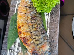 烤青花鱼-鞠橘居酒屋(仁恒江湾新天地店)